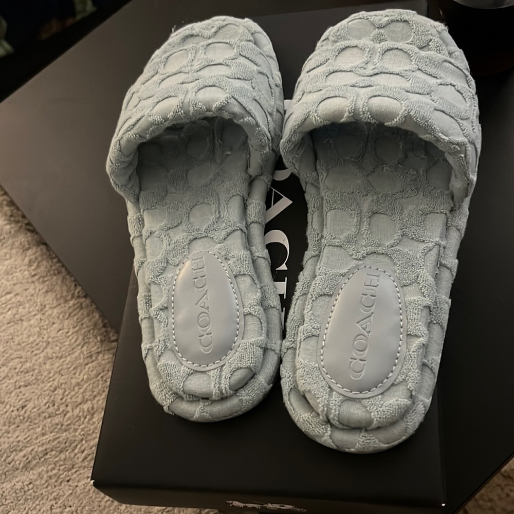Coach - Bridgett Terry - Aqua Slides